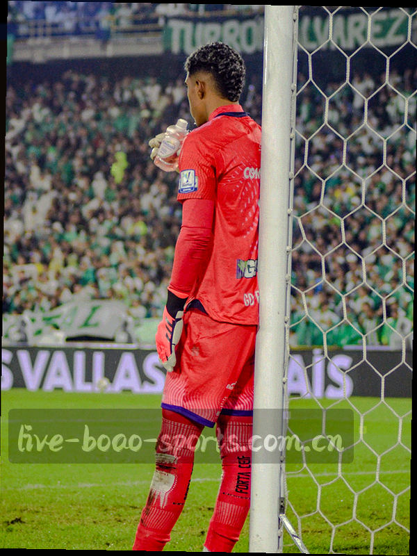 博奥体育V3手机登录界面